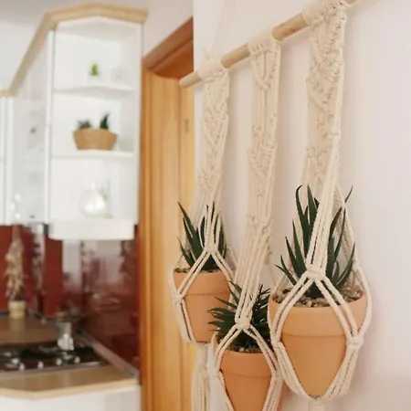 דירה Boho